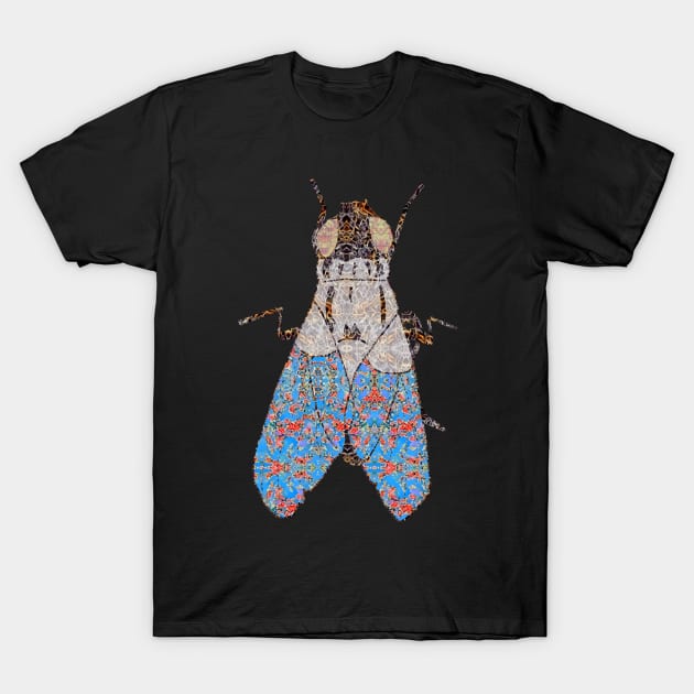 A Fly on the Wall T-Shirt by Diego-t